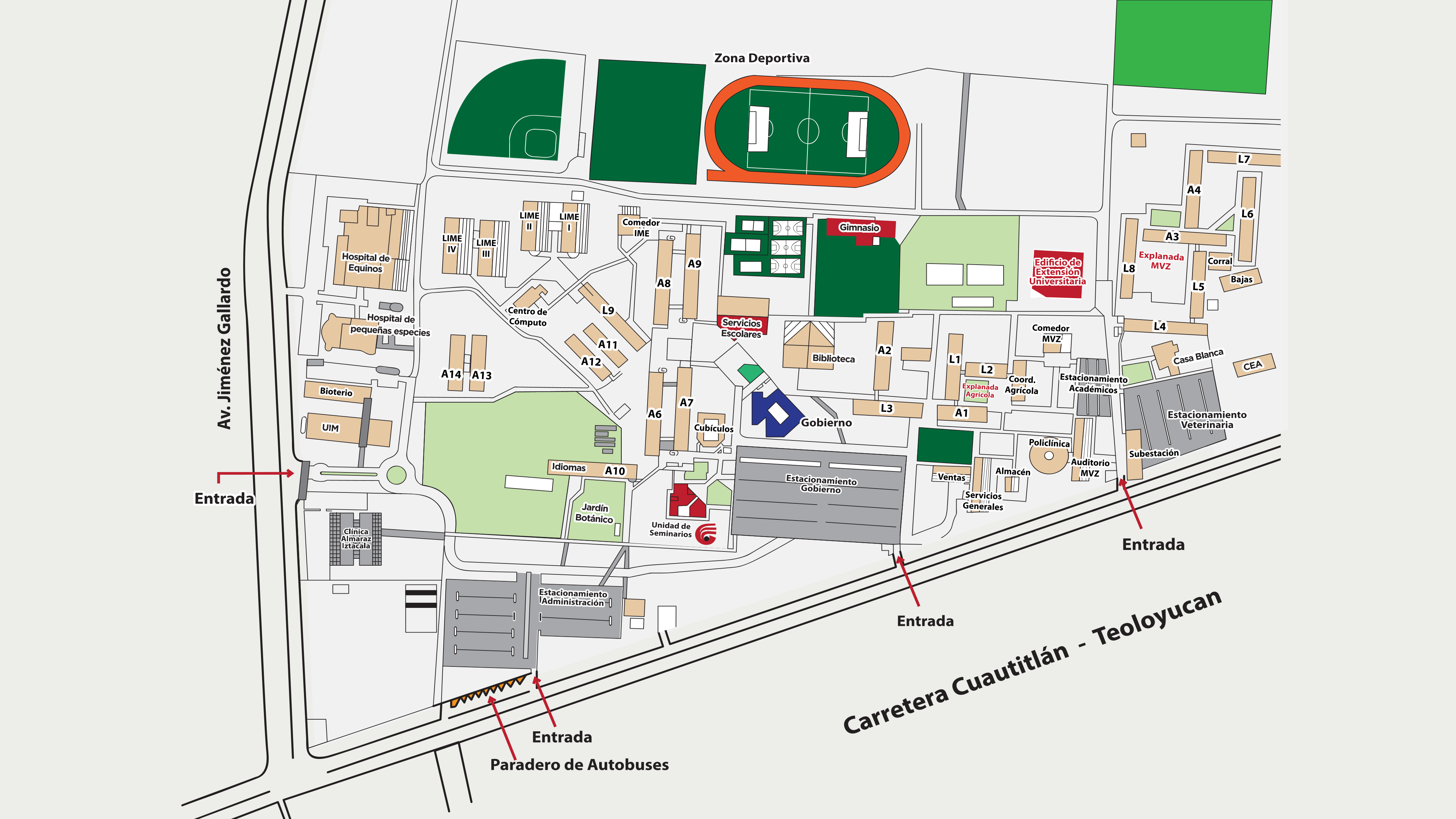Campo4